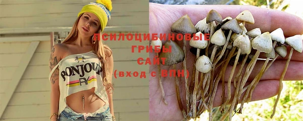молекула духа Армянск